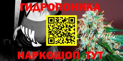 хмурый Новодвинск