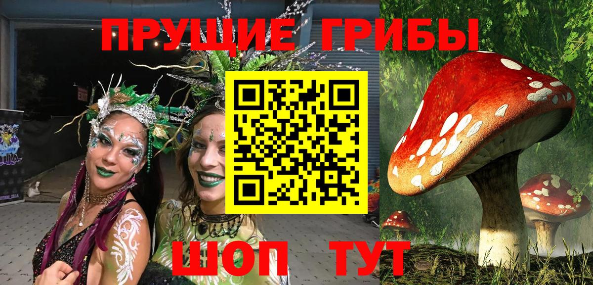 Галлюциногенные грибы Psilocybine cubensis Соликамск